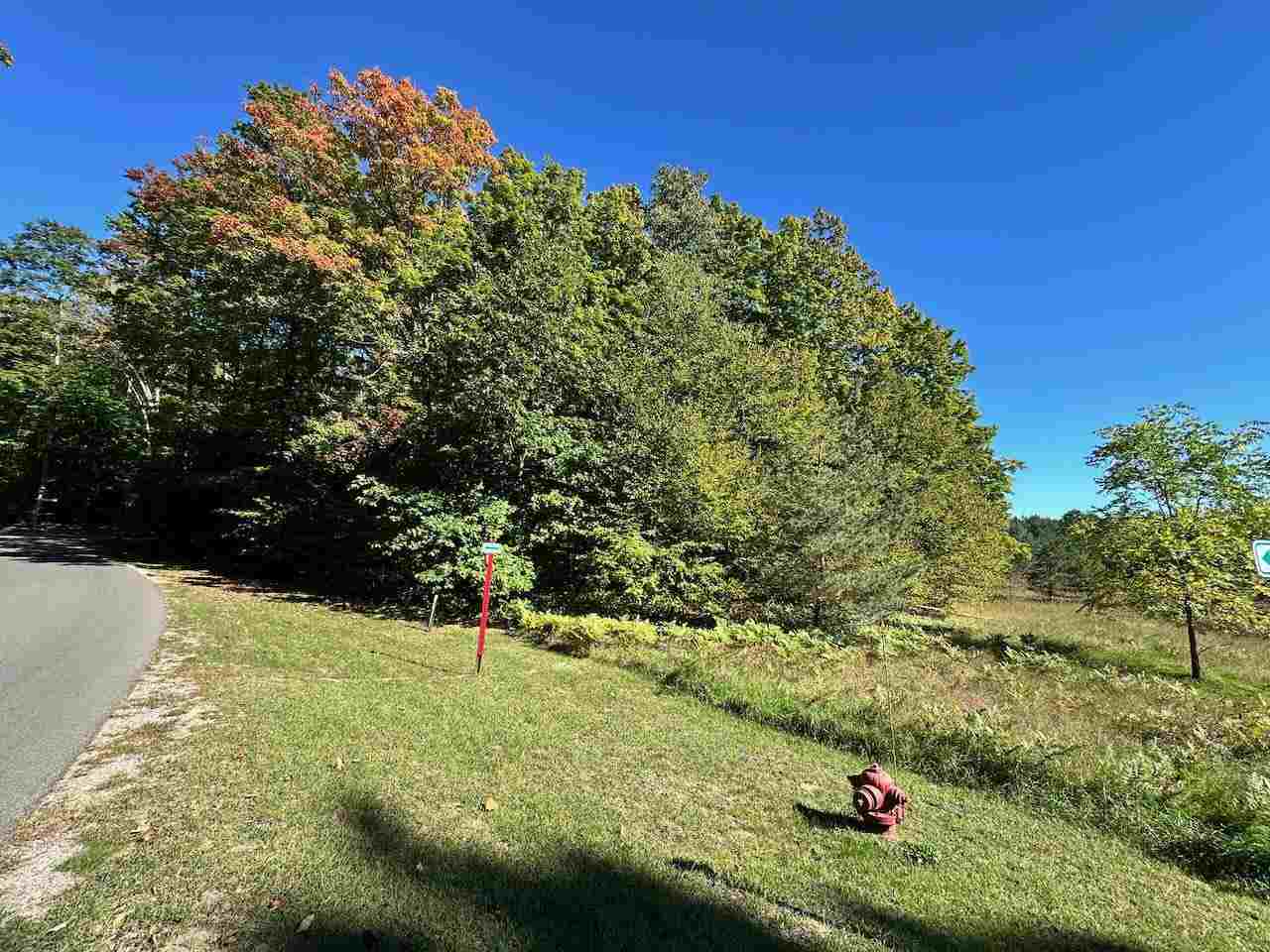 Units 149 & 150 Olympia Fields Bellaire MI 49615