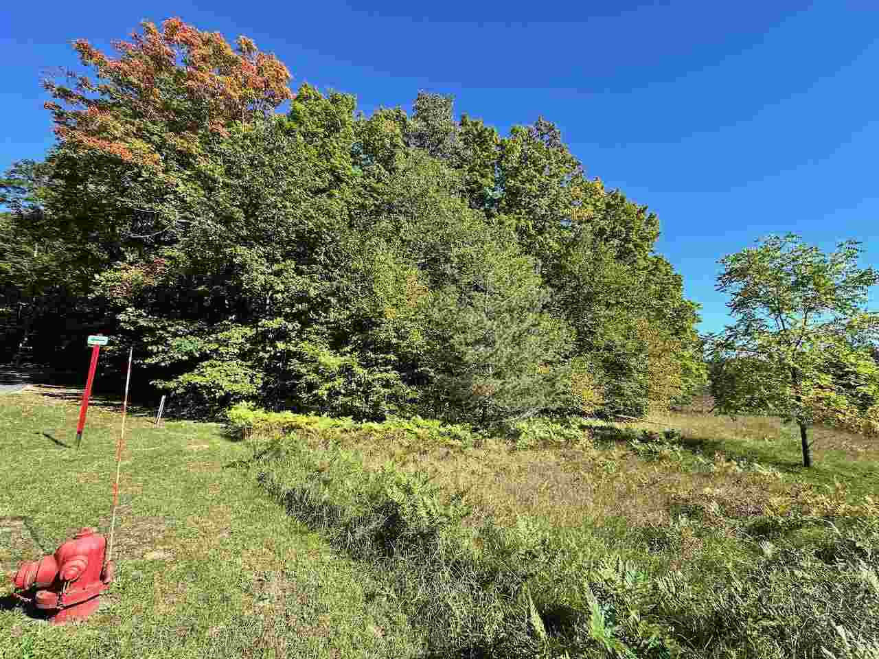 Units 149 & 150 Olympia Fields Bellaire MI 49615