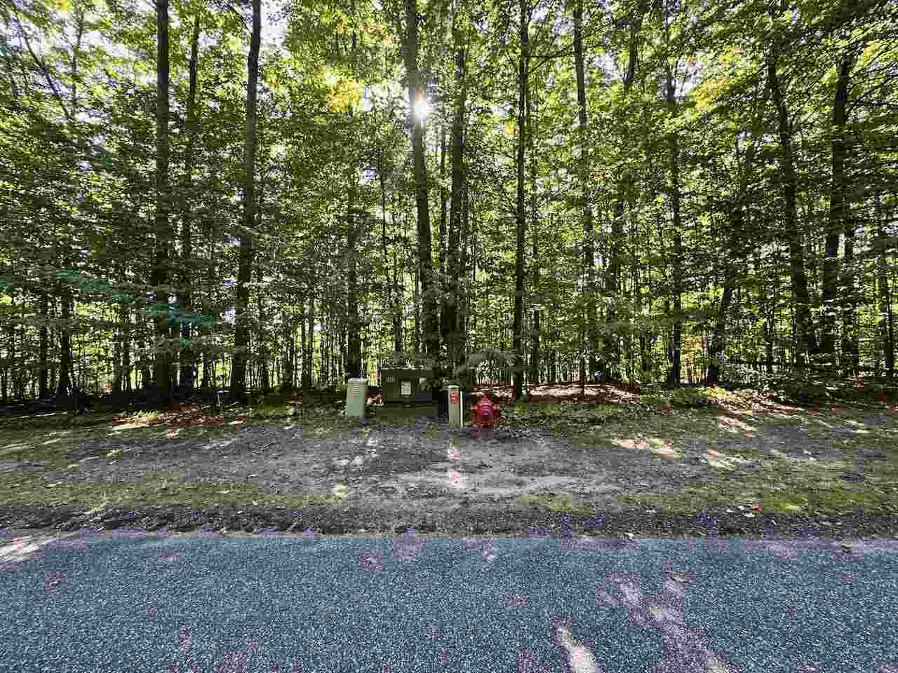 Units 149 & 150 Olympia Fields Bellaire MI 49615