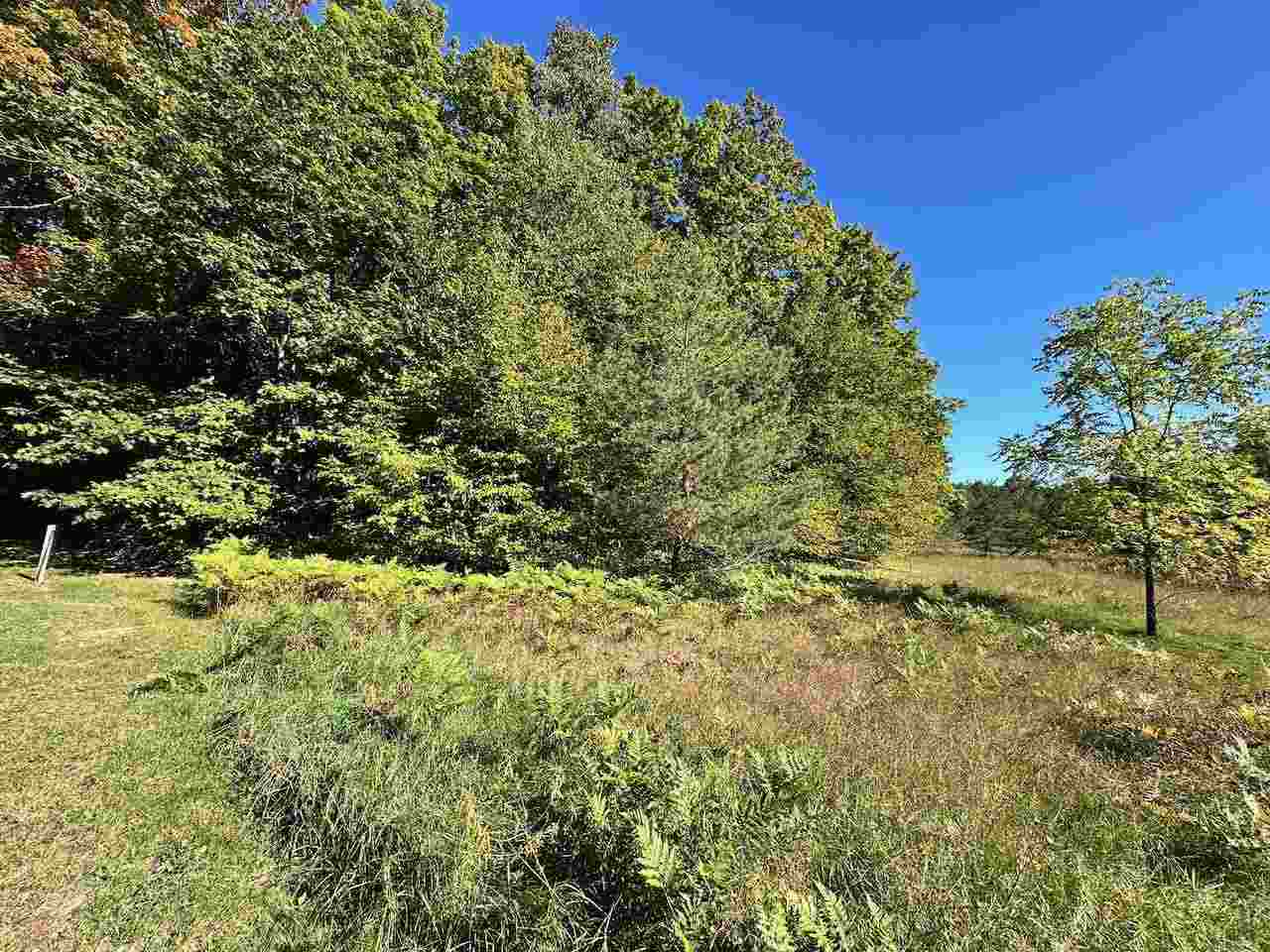 Units 149 & 150 Olympia Fields Bellaire MI 49615