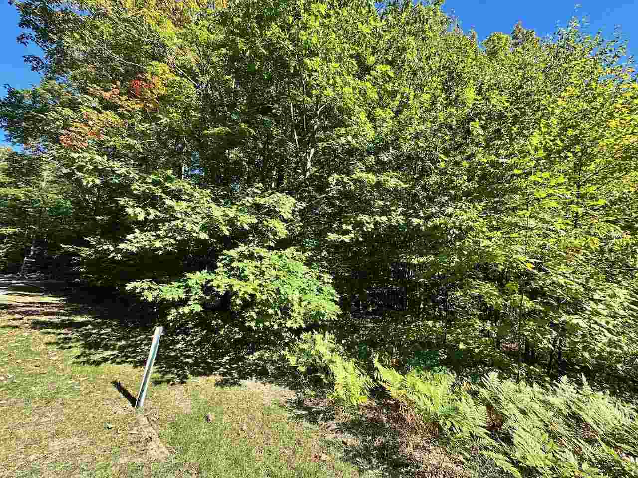 Units 149 & 150 Olympia Fields Bellaire MI 49615