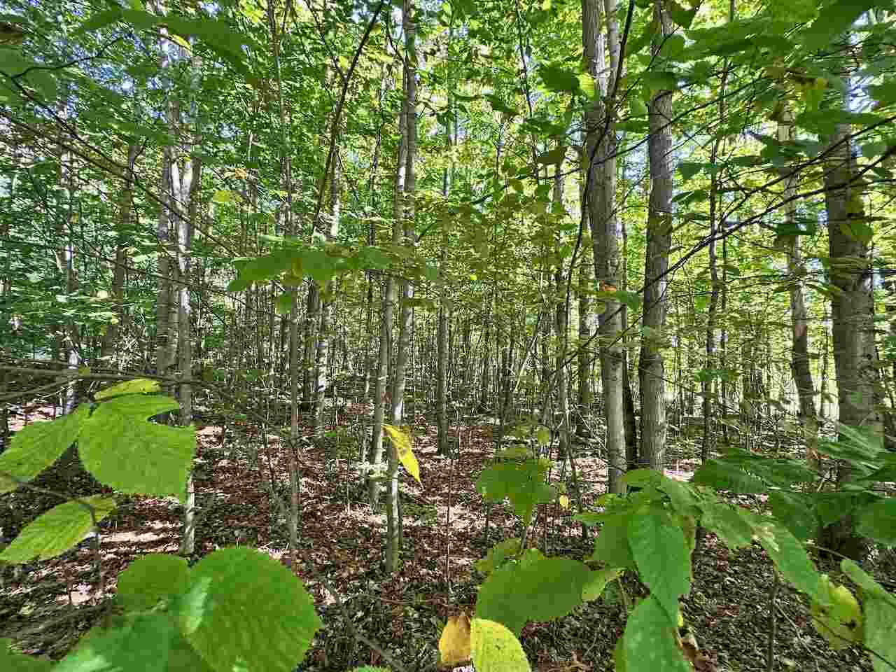 Units 149 & 150 Olympia Fields Bellaire MI 49615