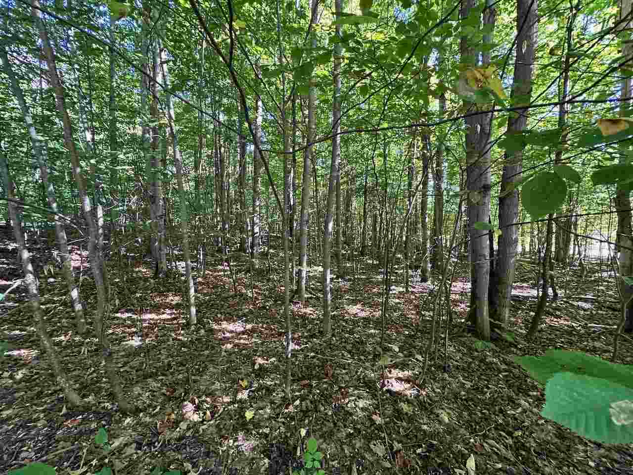 Units 149 & 150 Olympia Fields Bellaire MI 49615