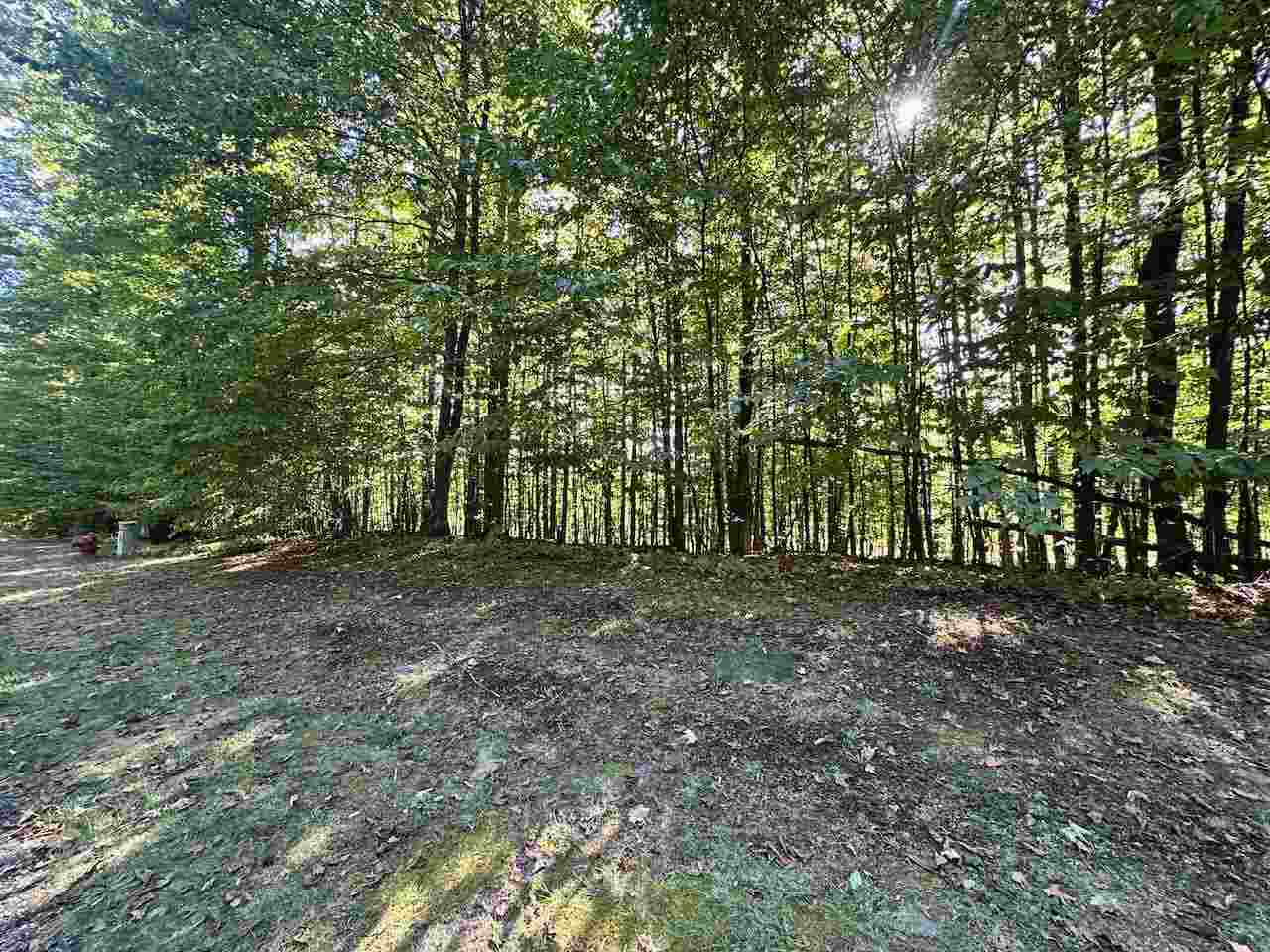 Units 149 & 150 Olympia Fields Bellaire MI 49615