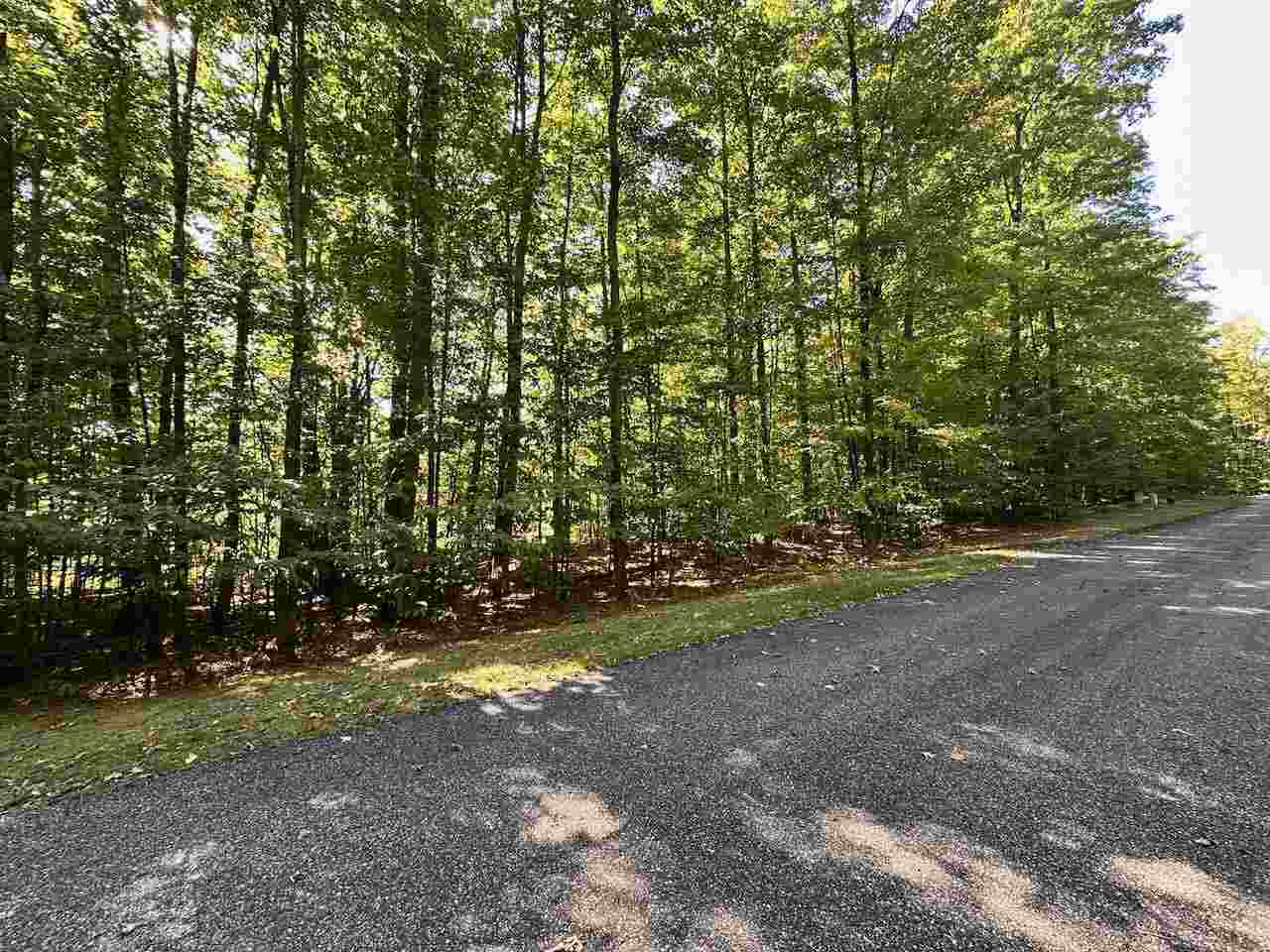 Units 149 & 150 Olympia Fields Bellaire MI 49615