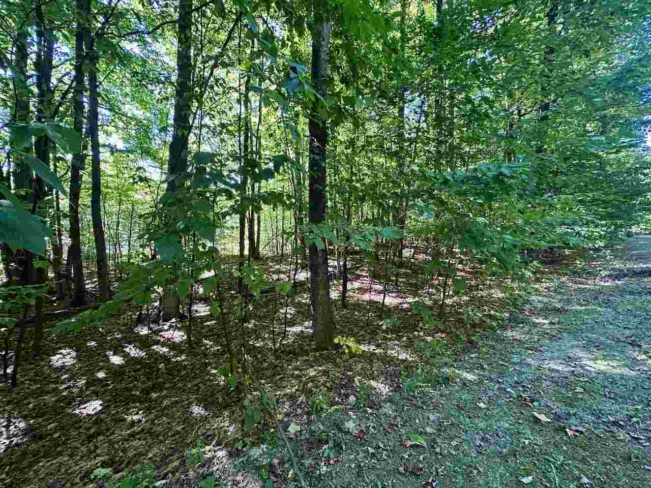 Units 149 & 150 Olympia Fields Bellaire MI 49615