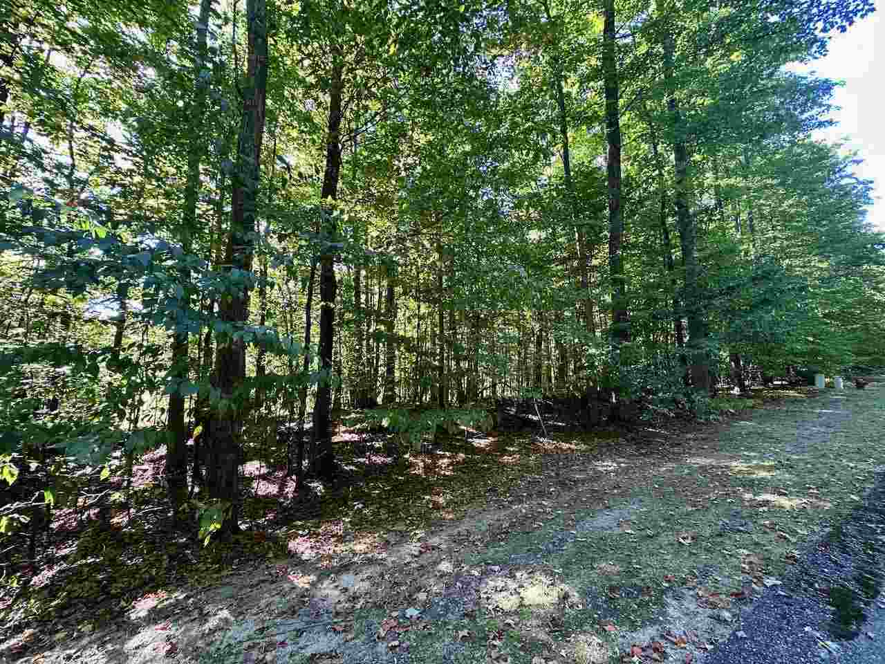 Units 149 & 150 Olympia Fields Bellaire MI 49615