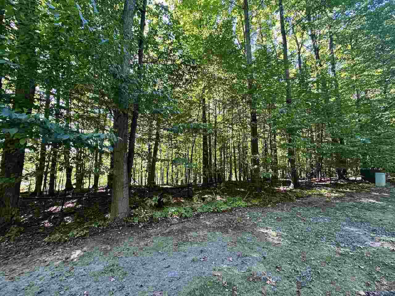 Units 149 & 150 Olympia Fields Bellaire MI 49615