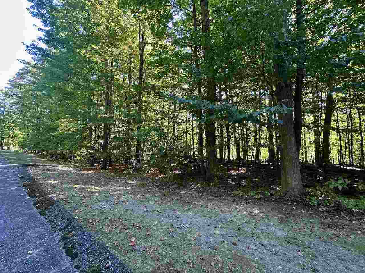 Units 149 & 150 Olympia Fields Bellaire MI 49615