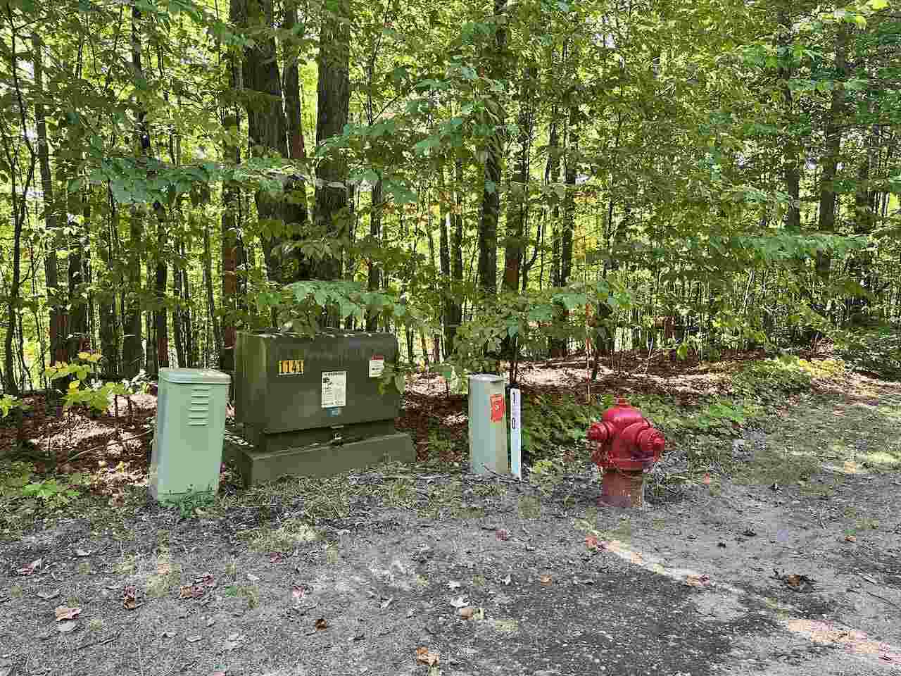 Units 149 & 150 Olympia Fields Bellaire MI 49615