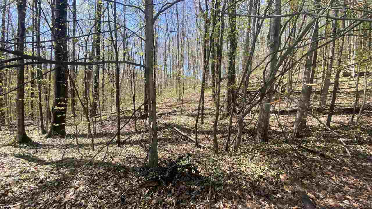 Lot 105-106 East Village Drive Bellaire MI 49615