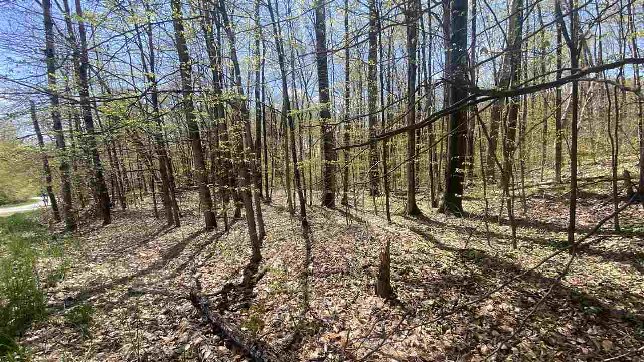 Lot 105-106 East Village Drive Bellaire MI 49615