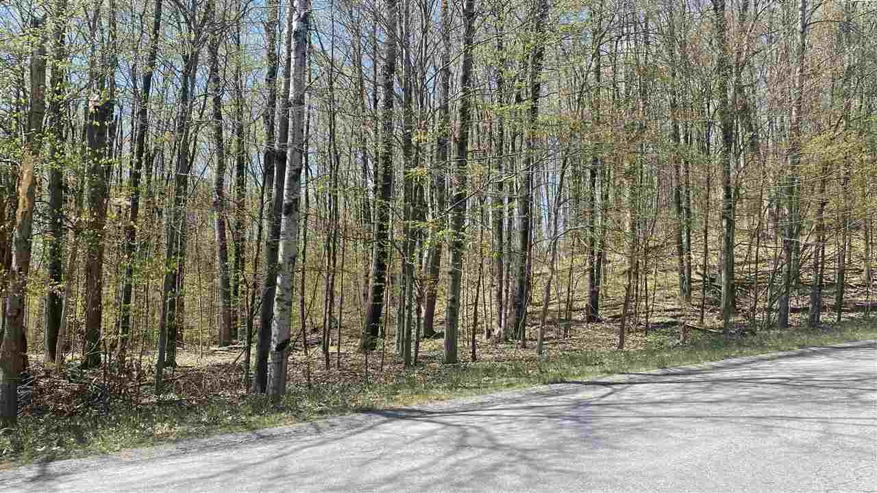 Lot 105-106 East Village Drive Bellaire MI 49615