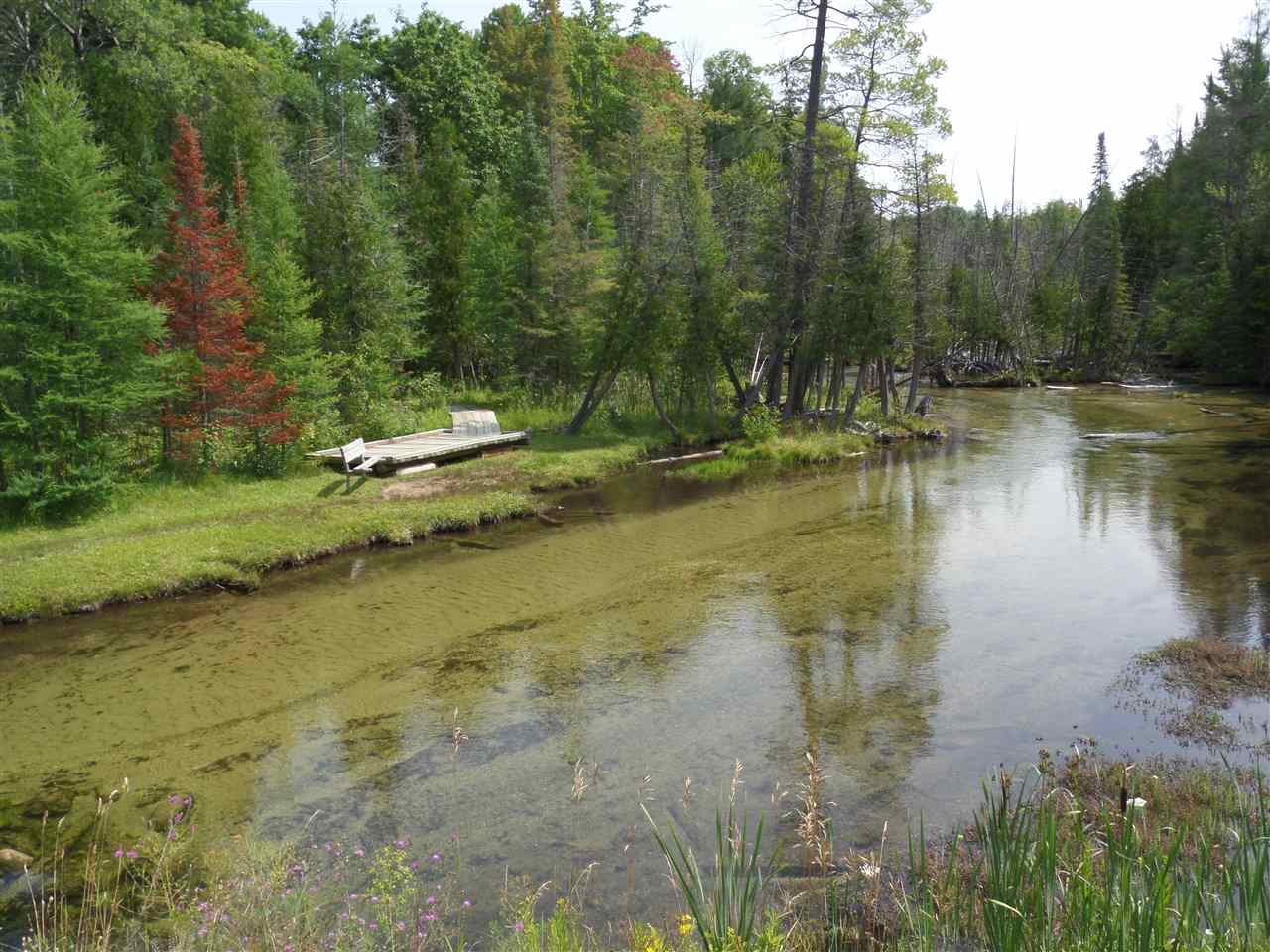 Lot 105-106 East Village Drive Bellaire MI 49615