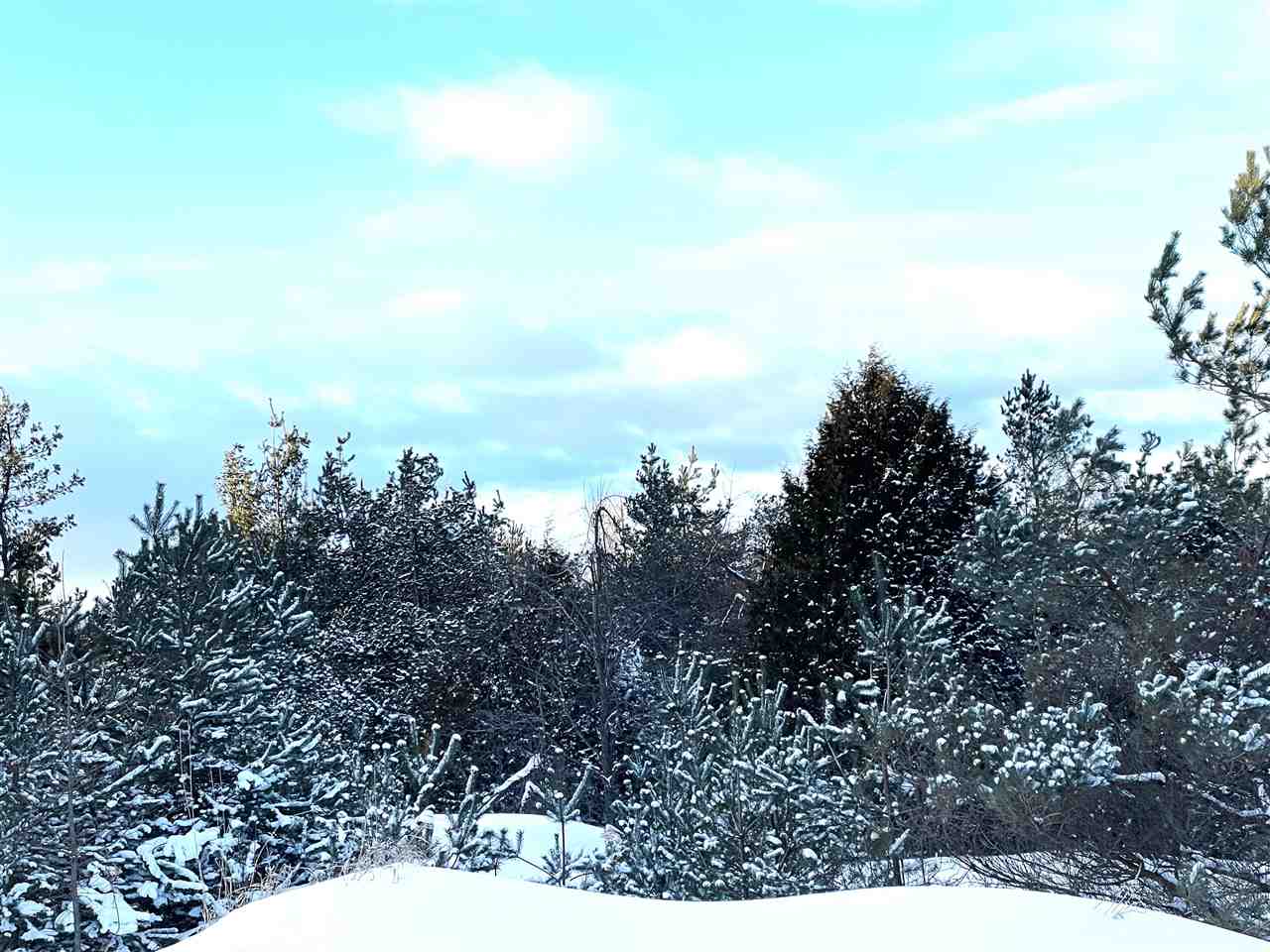 290 Harbor View Lane Petoskey MI 49770