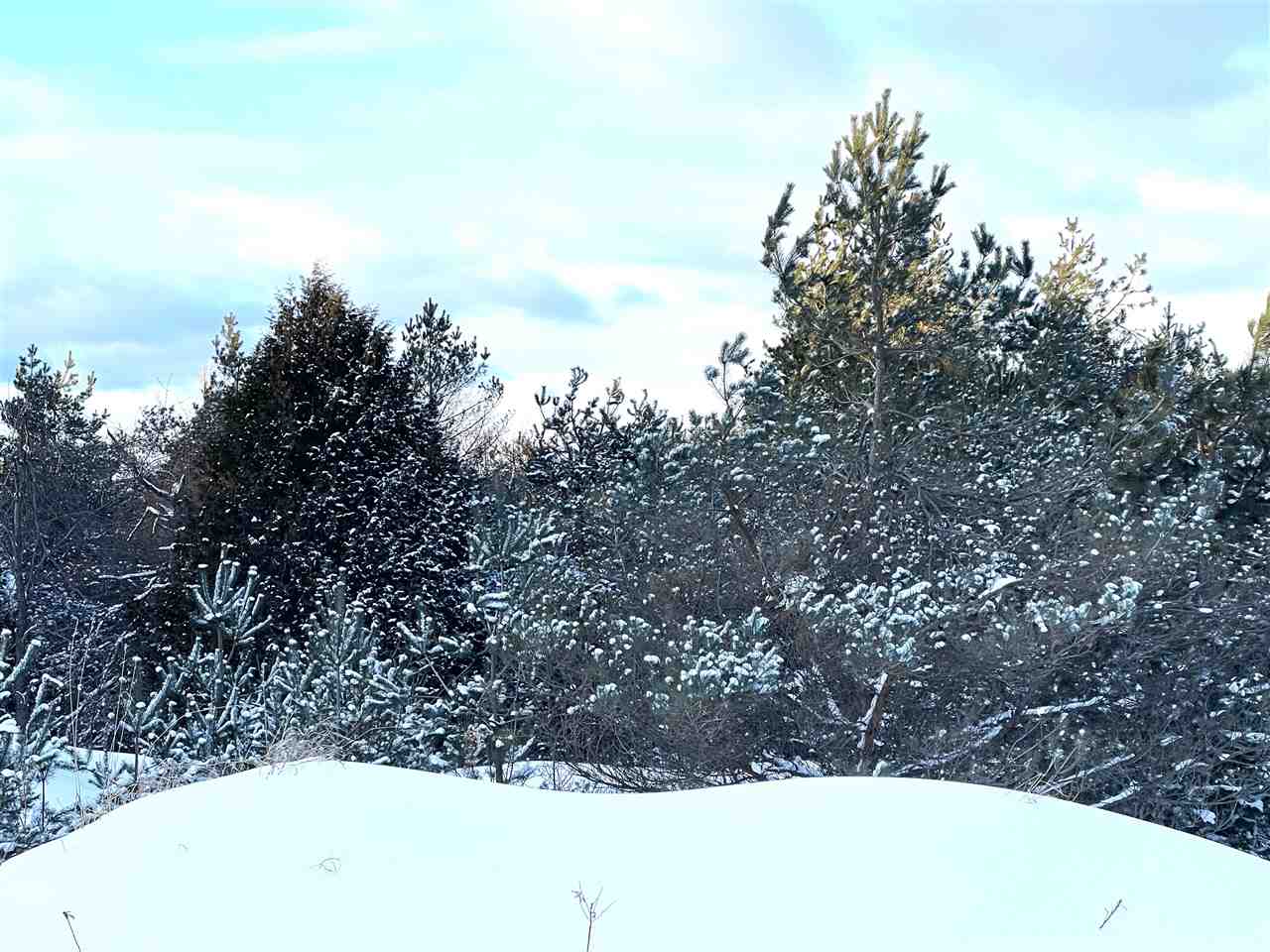 290 Harbor View Lane Petoskey MI 49770