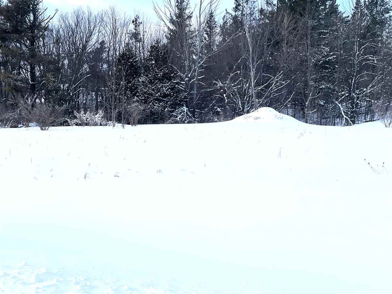 290 Harbor View Lane Petoskey MI 49770