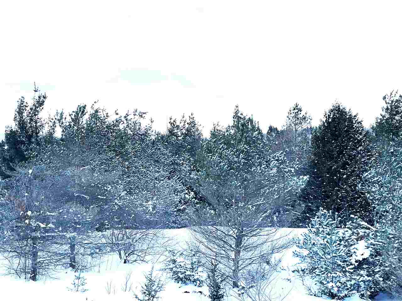 290 Harbor View Lane Petoskey MI 49770