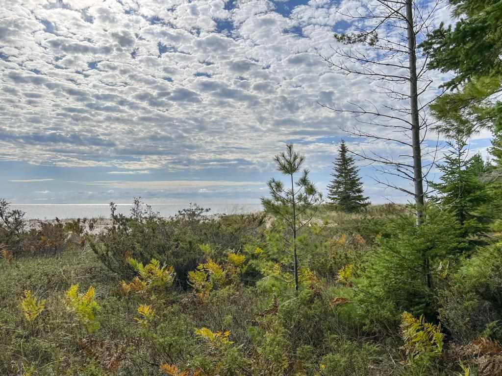 VL4 & Vl5 East Side Drive Beaver Island MI 49782