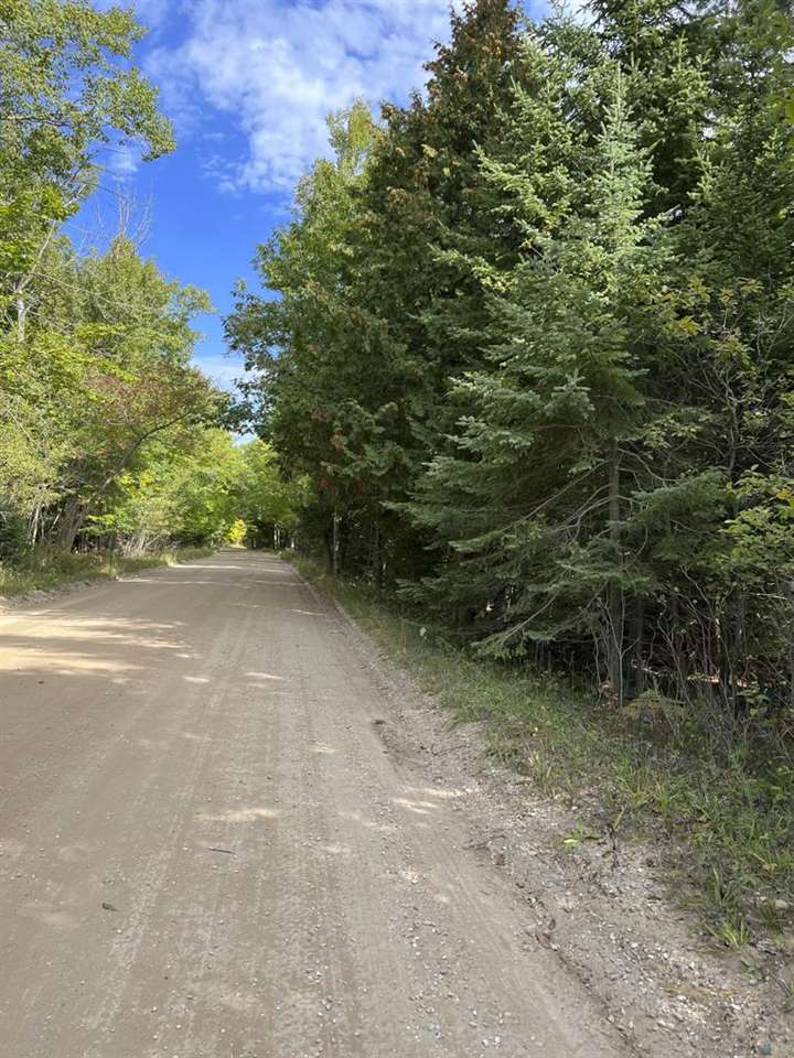 VL4 & Vl5 East Side Drive Beaver Island MI 49782