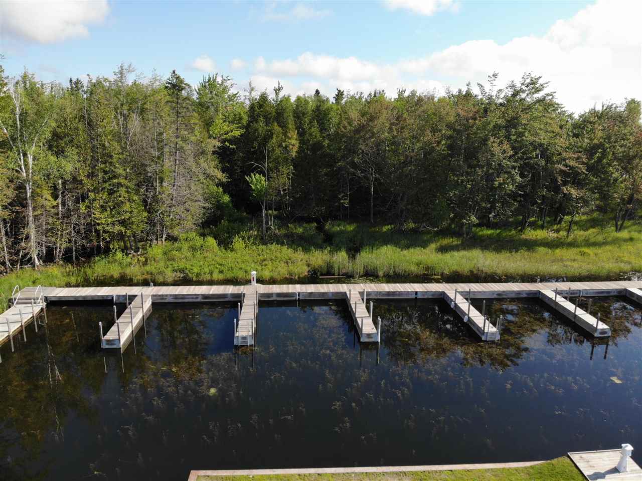 6430 & 6648 Admirals Point Drive Alanson MI 49706