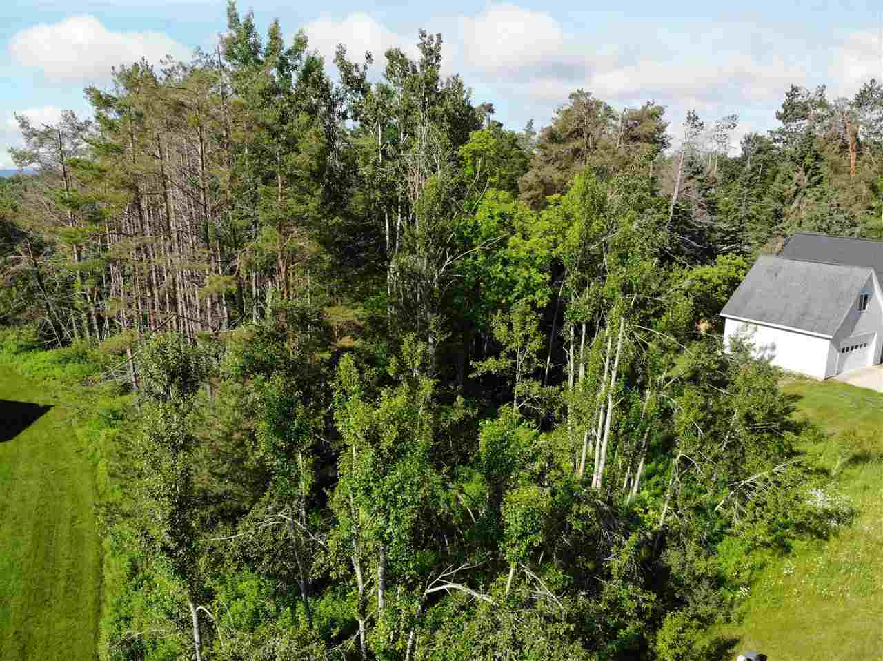 6430 & 6648 Admirals Point Drive Alanson MI 49706