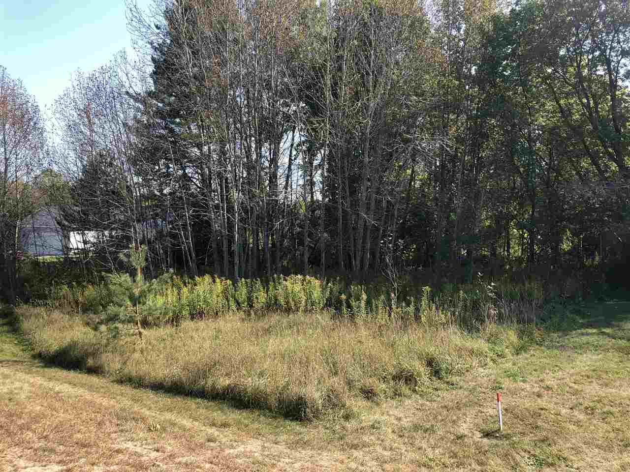 6430 & 6648 Admirals Point Drive Alanson MI 49706