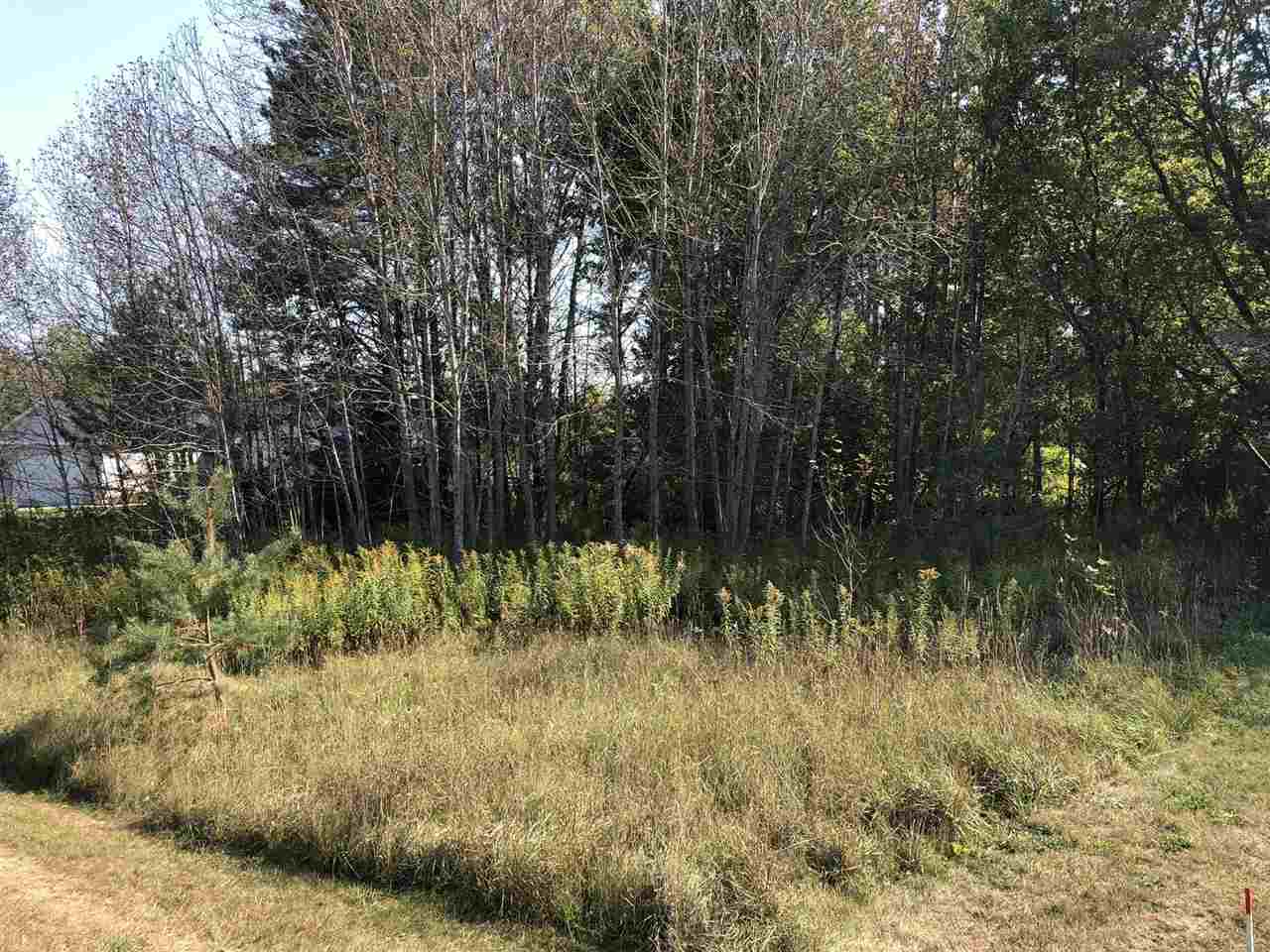 6430 & 6648 Admirals Point Drive Alanson MI 49706