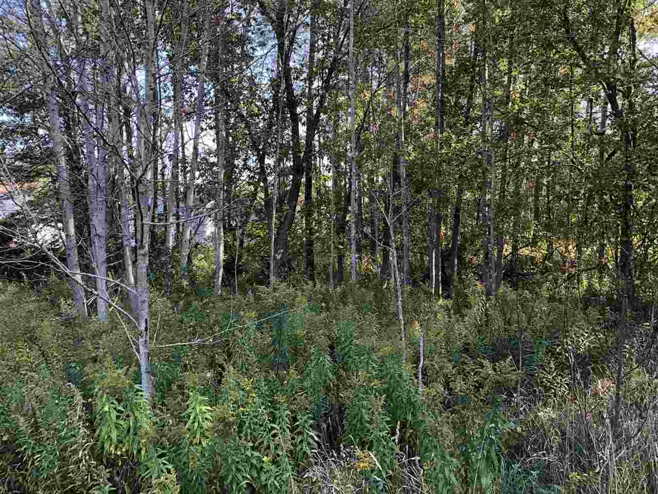 6430 & 6648 Admirals Point Drive Alanson MI 49706