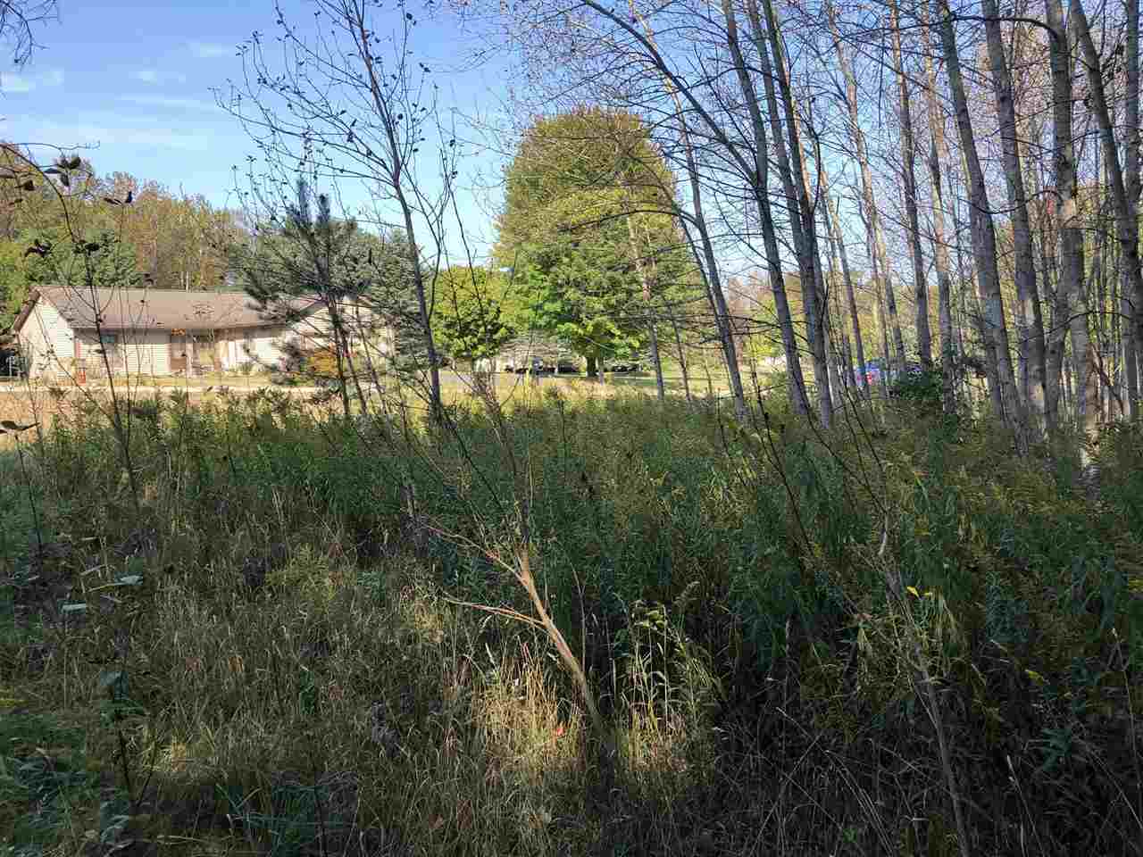 6430 & 6648 Admirals Point Drive Alanson MI 49706