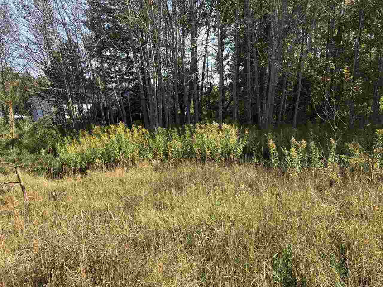 6430 & 6648 Admirals Point Drive Alanson MI 49706