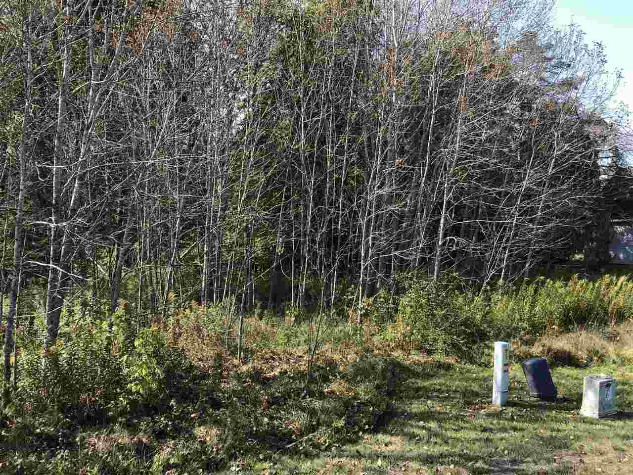 6430 & 6648 Admirals Point Drive Alanson MI 49706