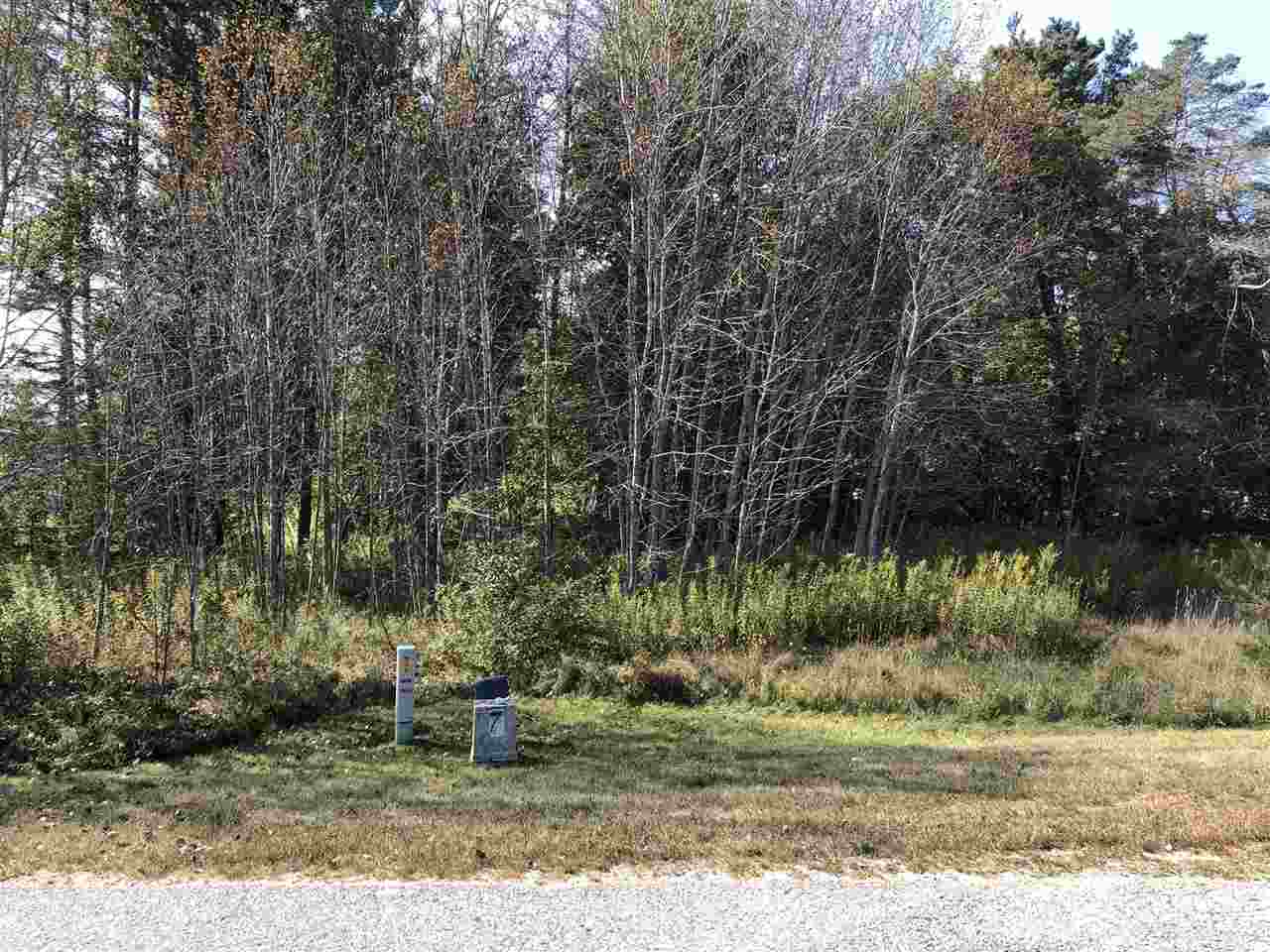 6430 & 6648 Admirals Point Drive Alanson MI 49706