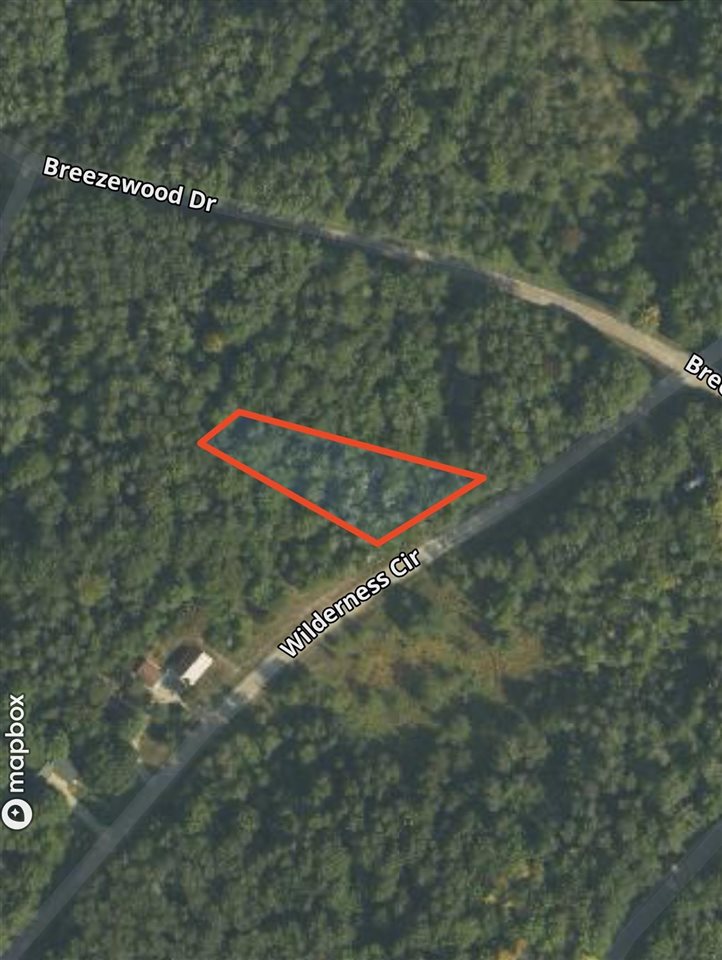 Lot 134 Wilderness Circle Mancelona MI 49659