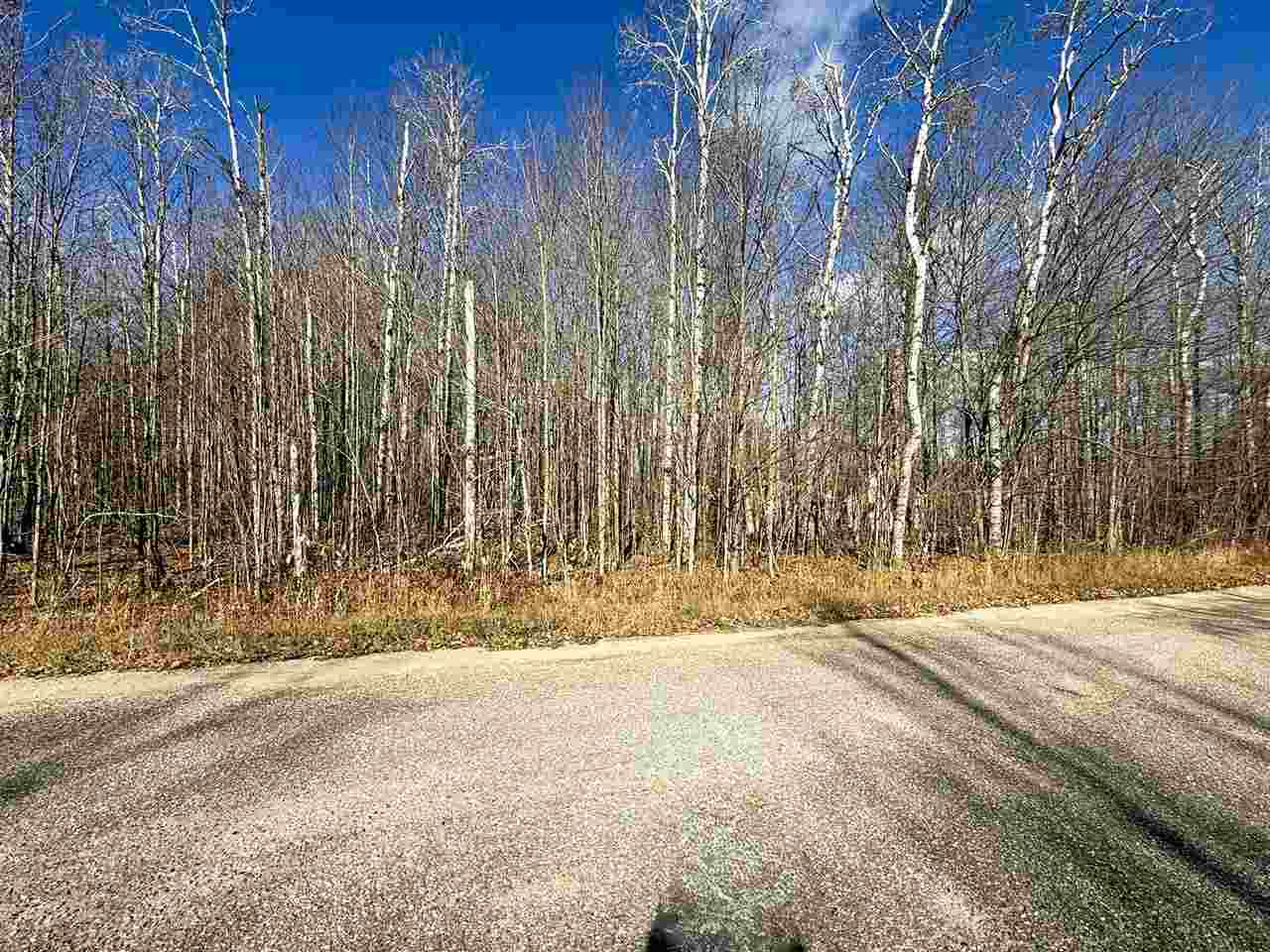 Lot 134 Wilderness Circle Mancelona MI 49659