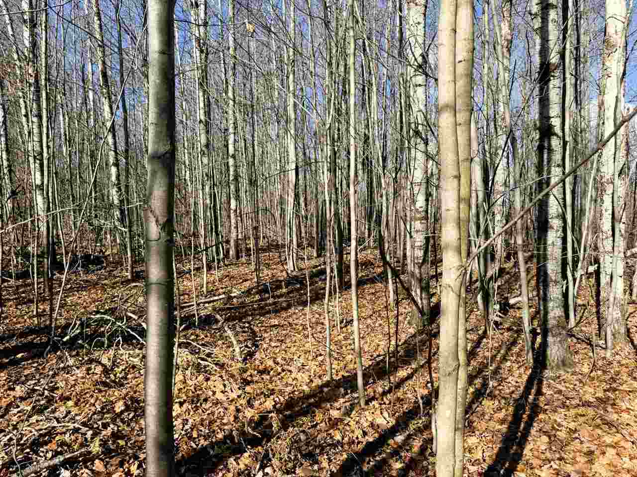 Lot 134 Wilderness Circle Mancelona MI 49659
