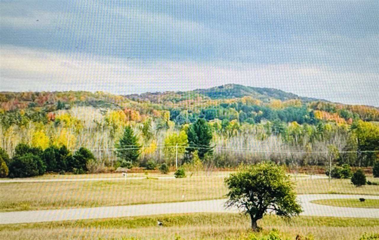 29 Wasatch Trail Boyne Falls MI 49713