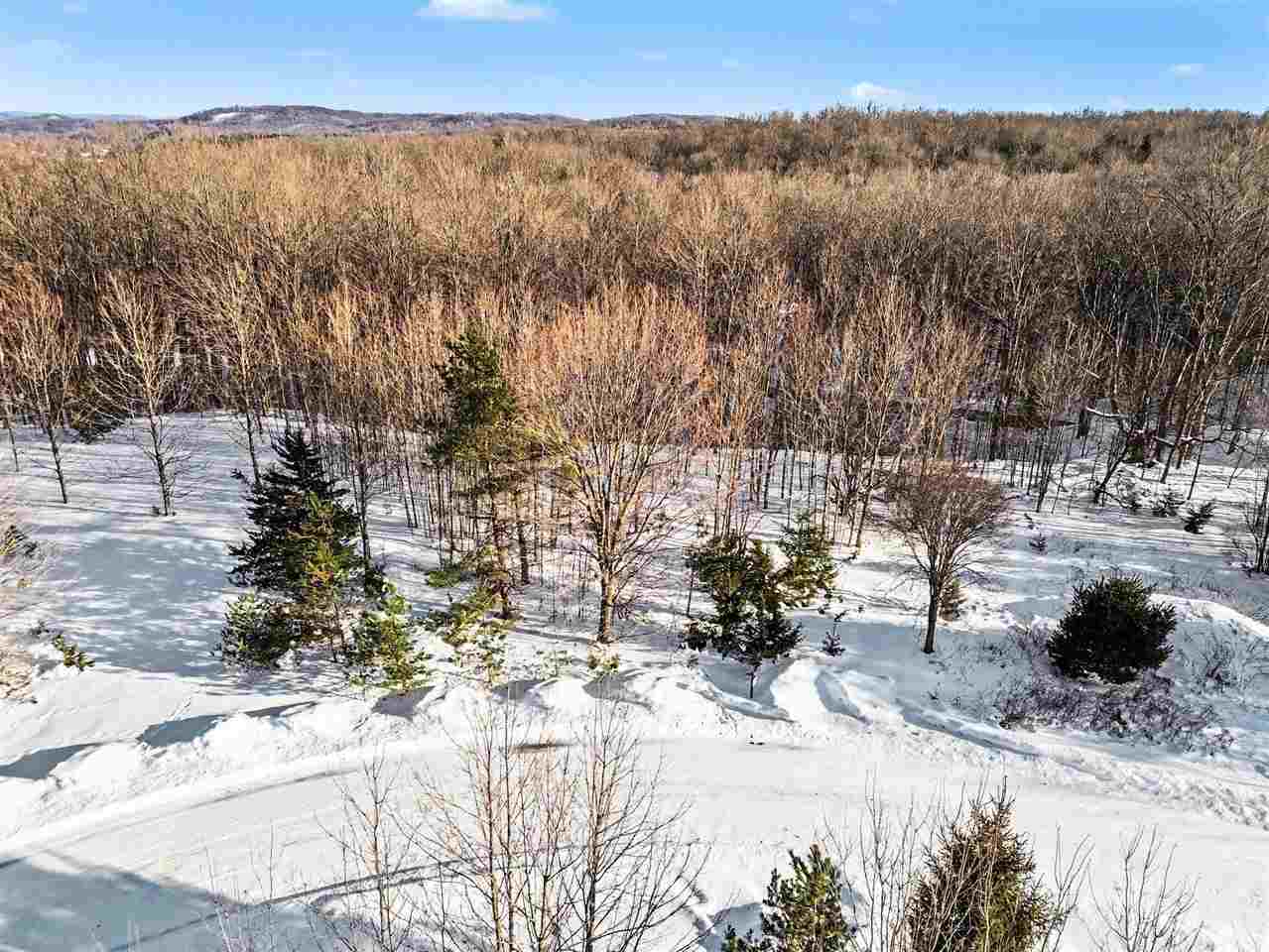 0000 Orchard Boyne City MI 49712