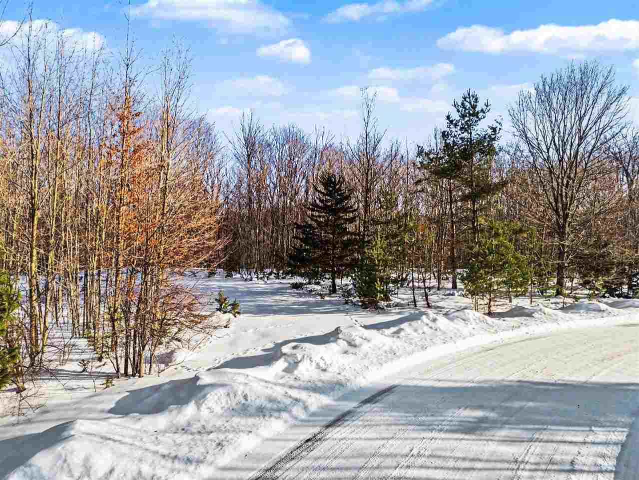 0000 Orchard Boyne City MI 49712
