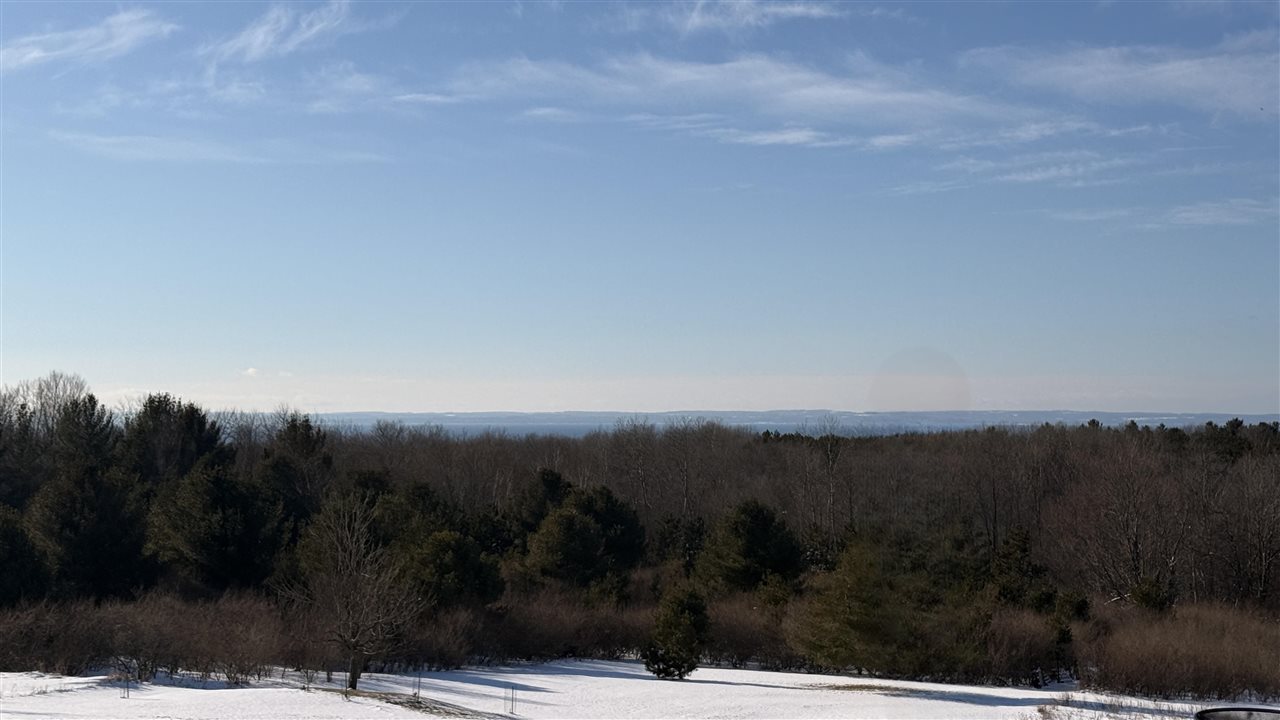 Tbd Farrell Road Central Lake MI 49622