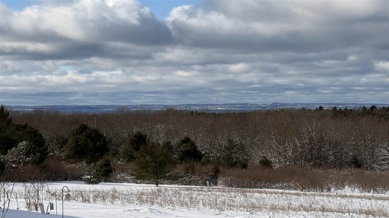 Tbd Farrell Road Central Lake MI 49622