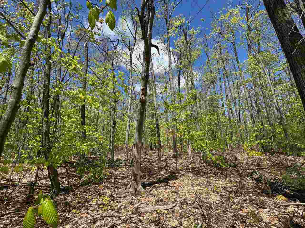 Tbd Eastridge Drive Gaylord MI 49735