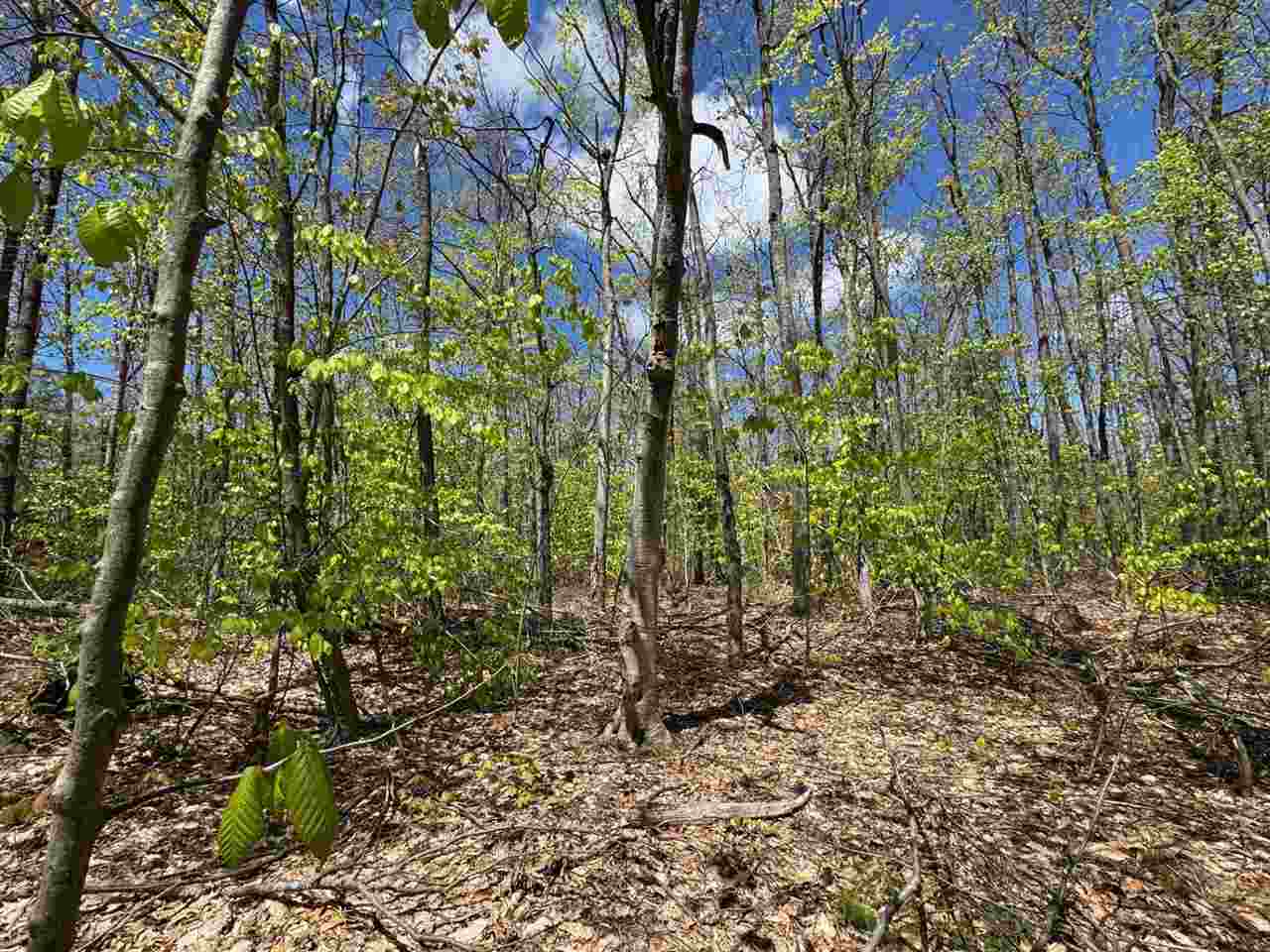 Tbd Eastridge Drive Gaylord MI 49735