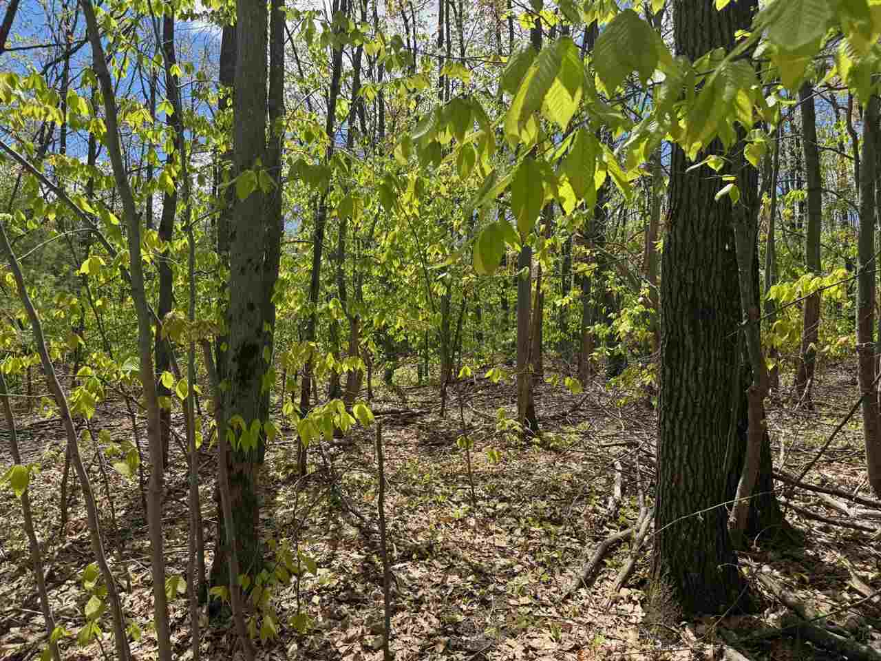 Tbd Eastridge Drive Gaylord MI 49735