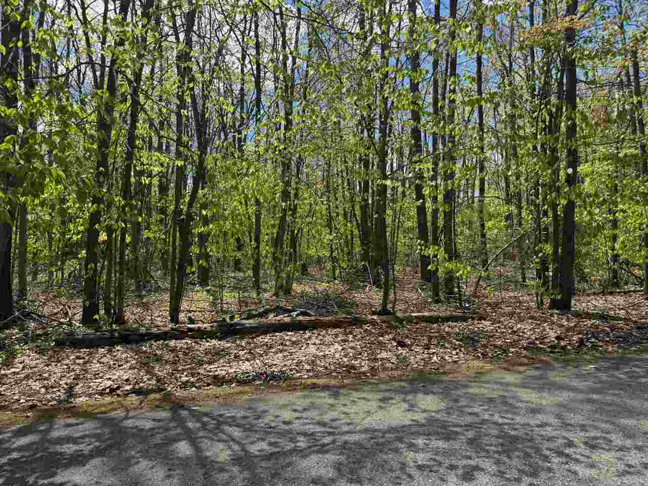 Tbd Eastridge Drive Gaylord MI 49735