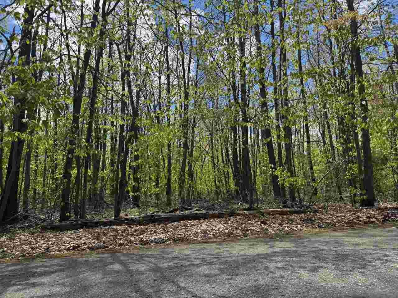 Tbd Eastridge Drive Gaylord MI 49735