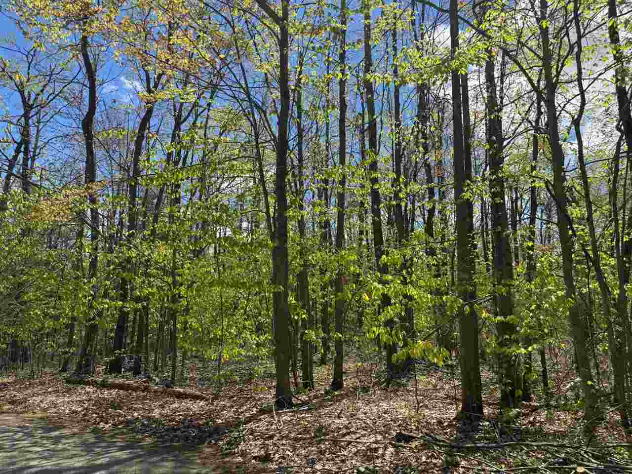 Tbd Eastridge Drive Gaylord MI 49735