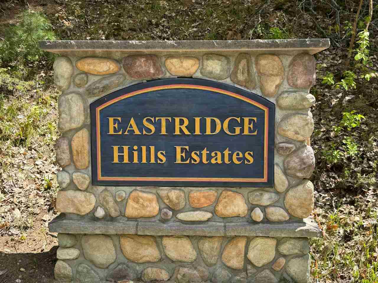 Tbd Eastridge Drive Gaylord MI 49735