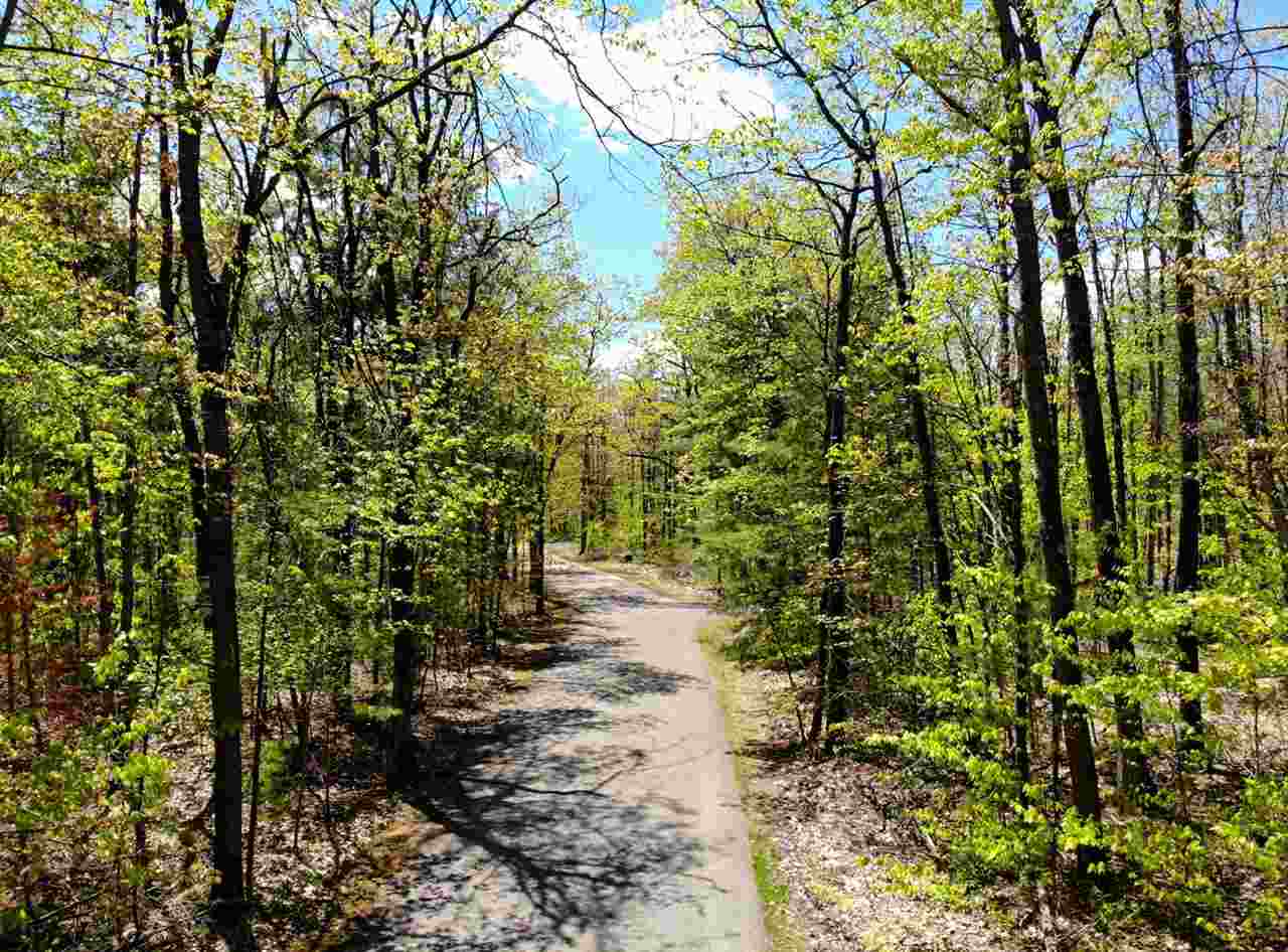 Tbd Eastridge Drive Gaylord MI 49735