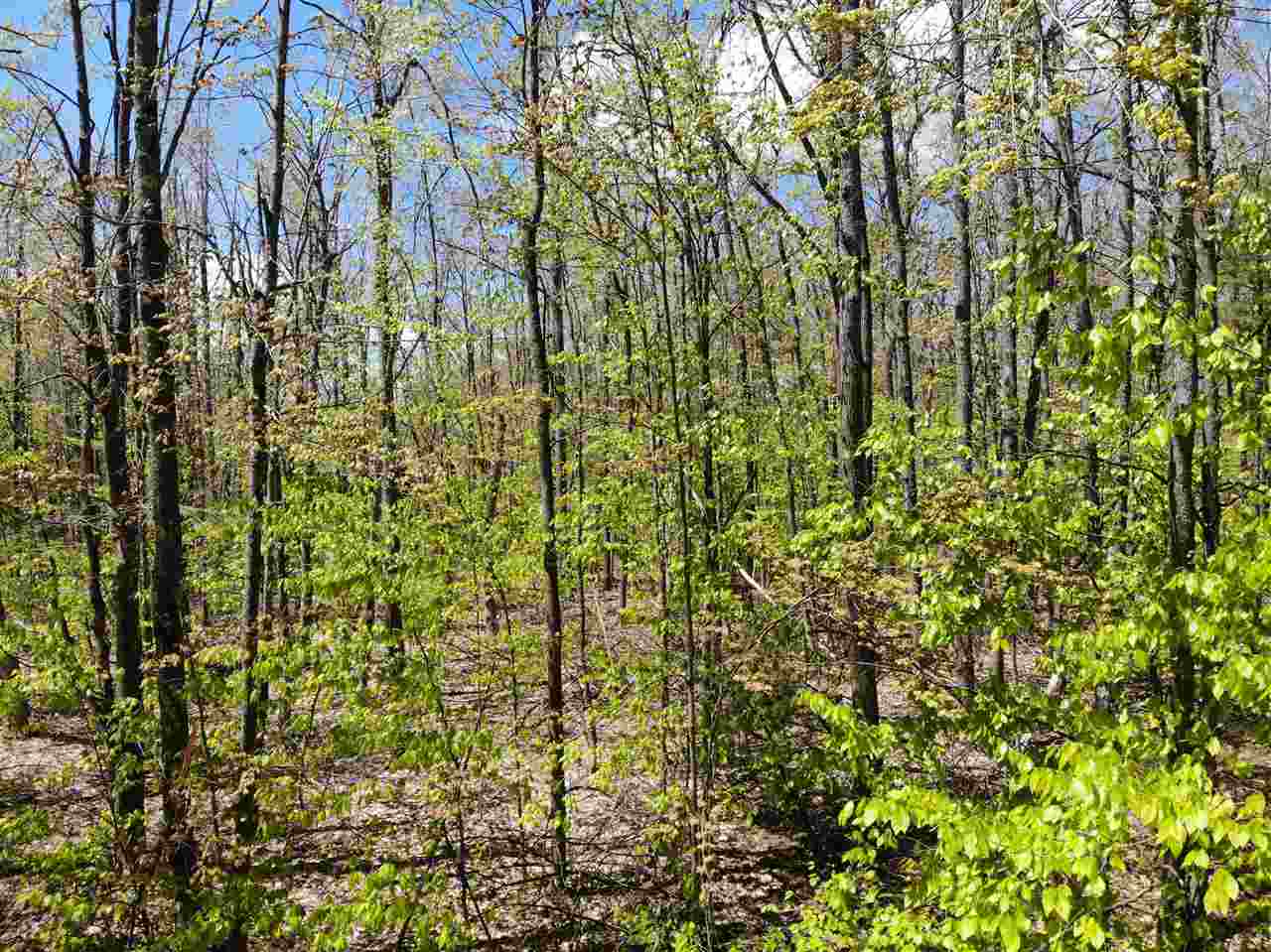 Tbd Eastridge Drive Gaylord MI 49735